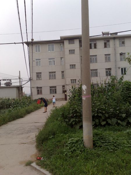 20100804728.jpg