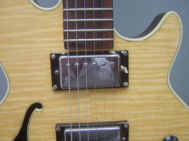 STA61848.JPG