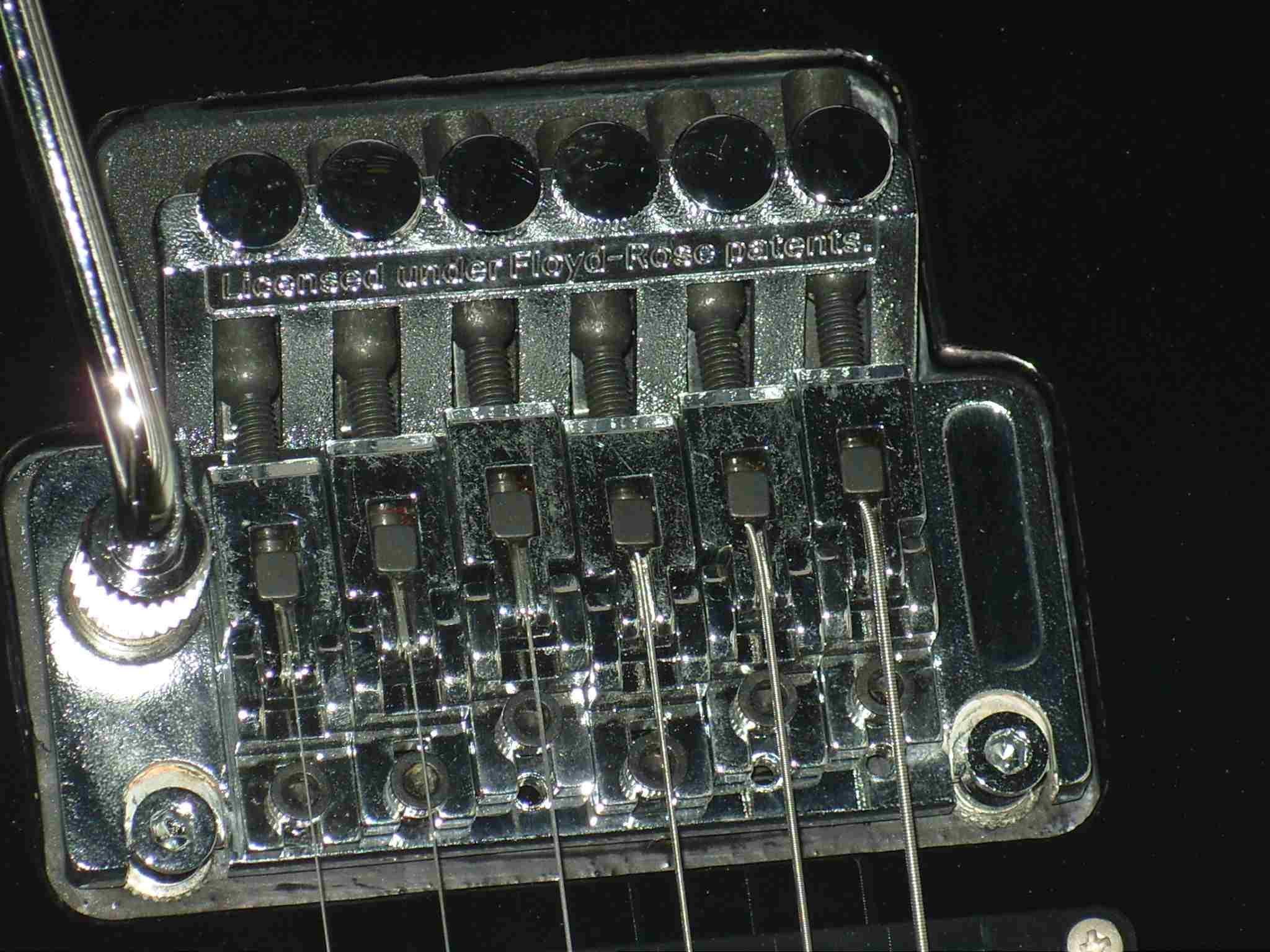S1050374.jpg