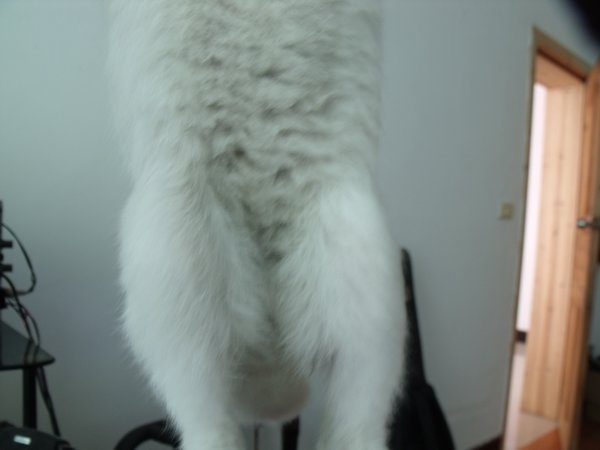 m_DSCF2263.jpg