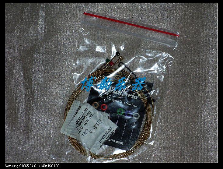 SDC13452.jpg