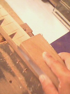 IMG0803A.jpg