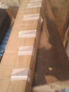 IMG0799A.jpg