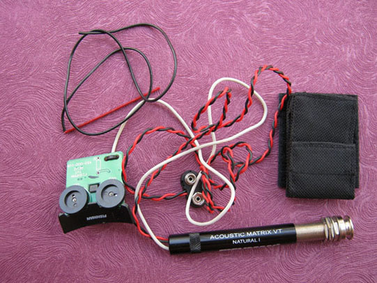 Fishman Acoustic Matrix VT Natural Ⅰ.JPG