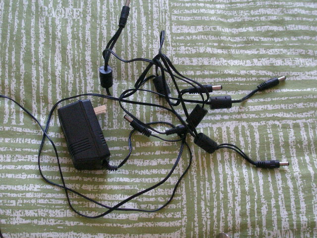 P1010024.JPG
