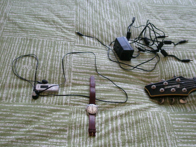 P1010027.JPG