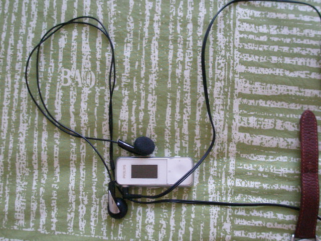 P1010028.JPG