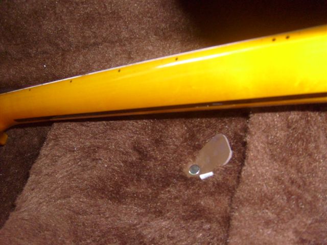 S6302896.JPG
