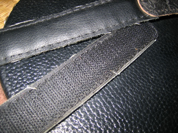 IMG_0008.JPG