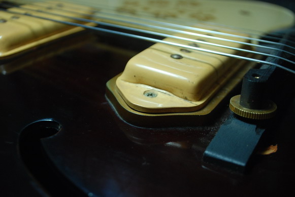 DSC_8371_缩小大小.JPG