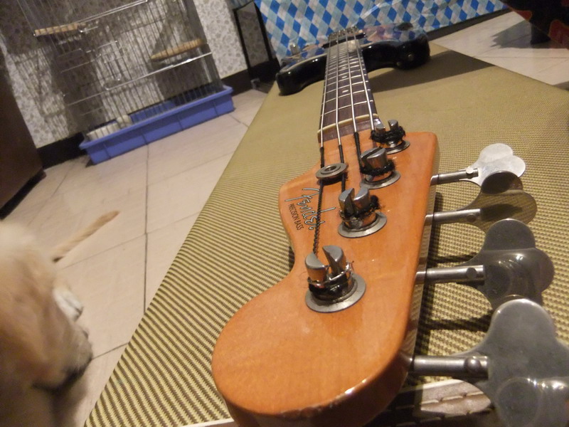 DSCF6545.jpg