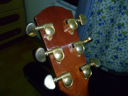 P1000470_调整大小.JPG