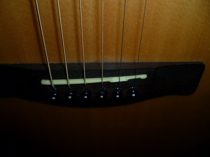 P1000472_调整大小.JPG