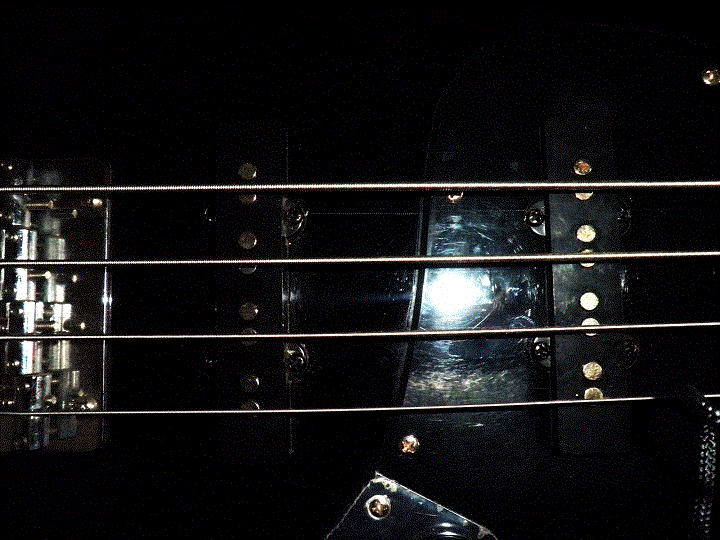 贝司-~3.GIF