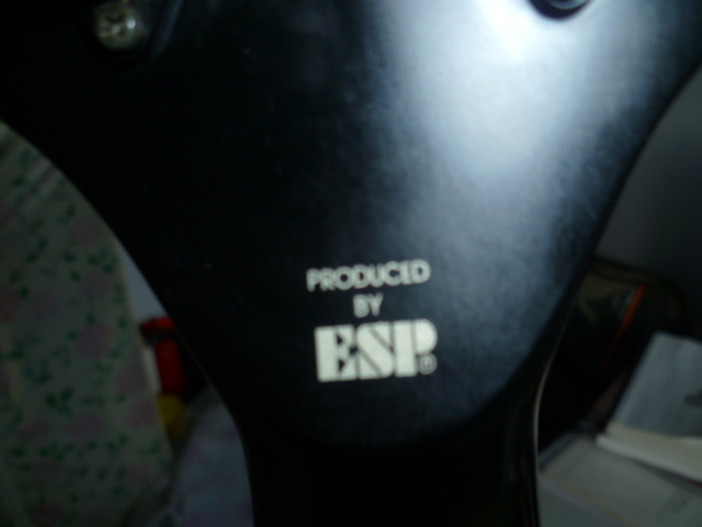 P1000028.JPG