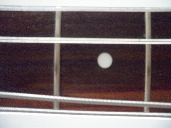 P9020529.JPG