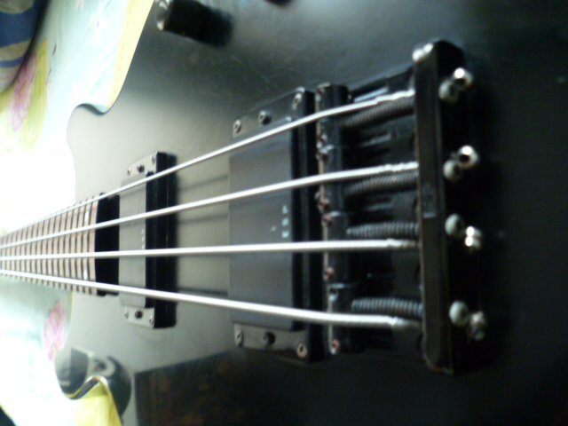 P1000024.JPG
