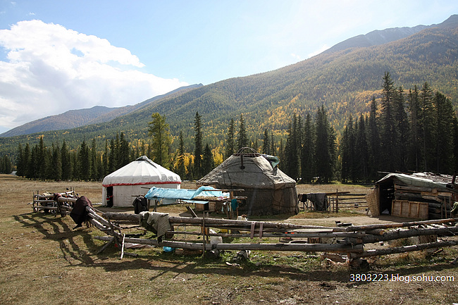 IMG_2336.jpg