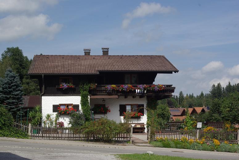 IMGP3570.JPG