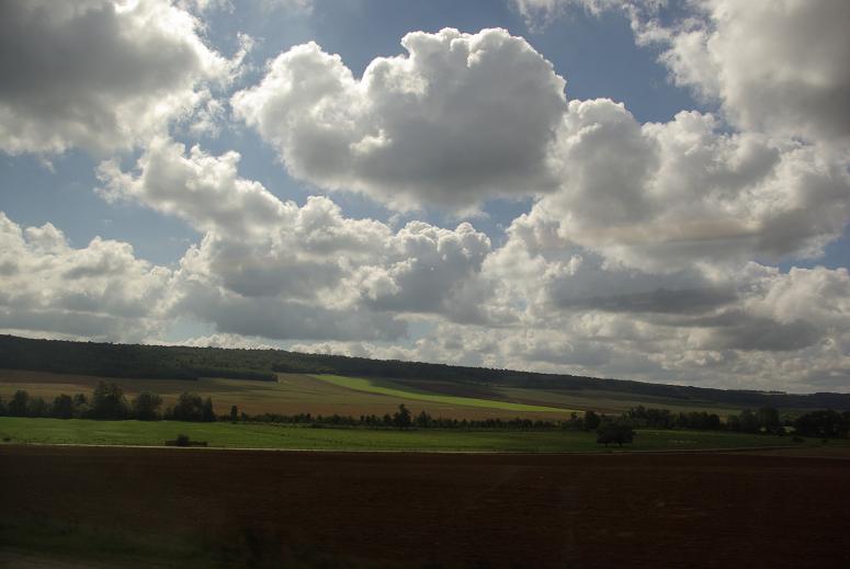 IMGP3222.JPG