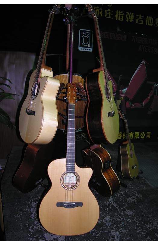 25.ayers现场产品之四.JPG