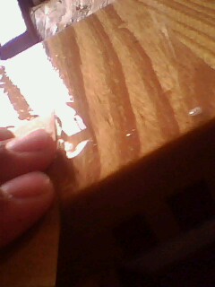 IMG1000A.jpg
