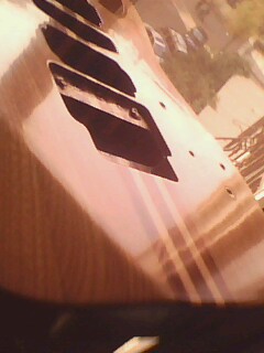 IMG1004A.jpg