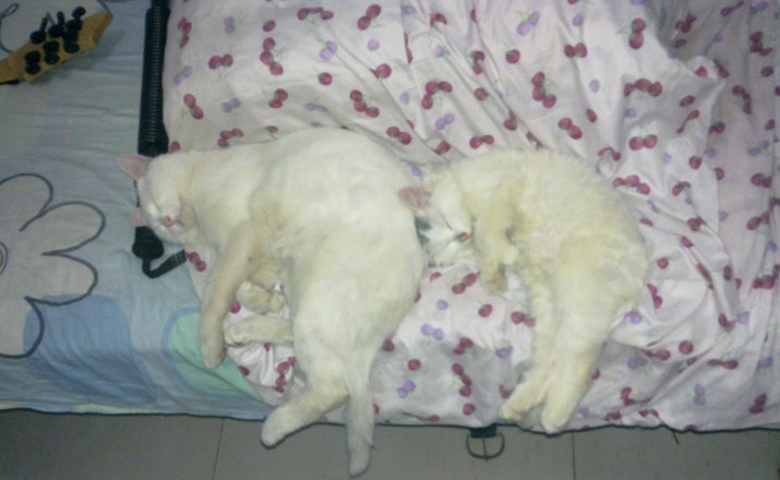 090909.jpg