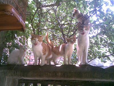 20090701(001).JPG
