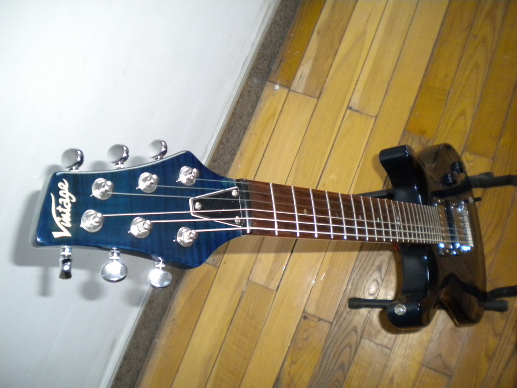 vigeta-4.jpg