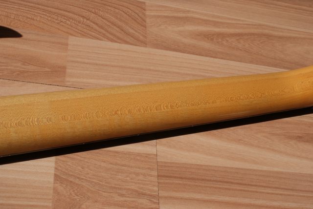 DSC02699.JPG