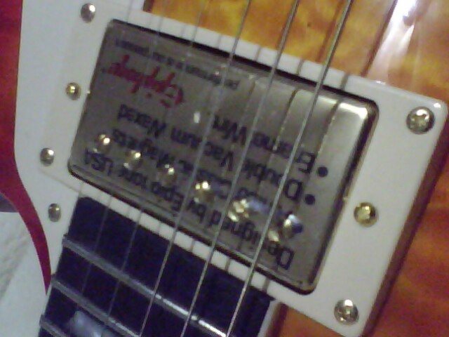 IMG1321A.jpg