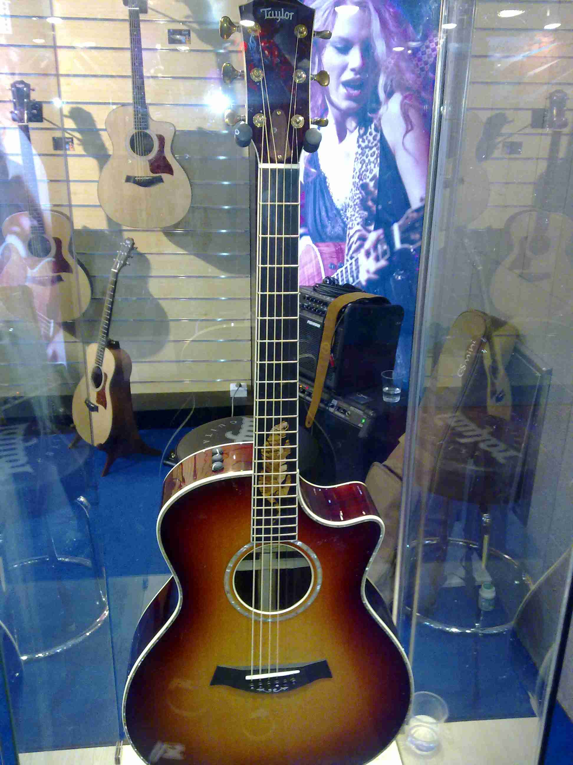 TAYLOR4.jpg