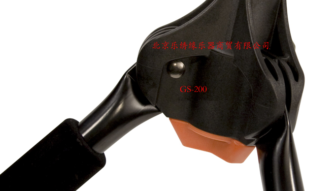 GS-200_05_RG.jpg