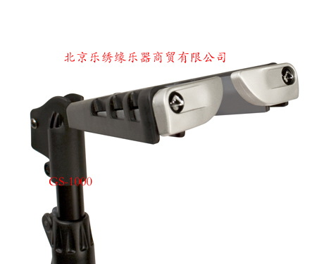 GS-1000_03b_RG.jpg