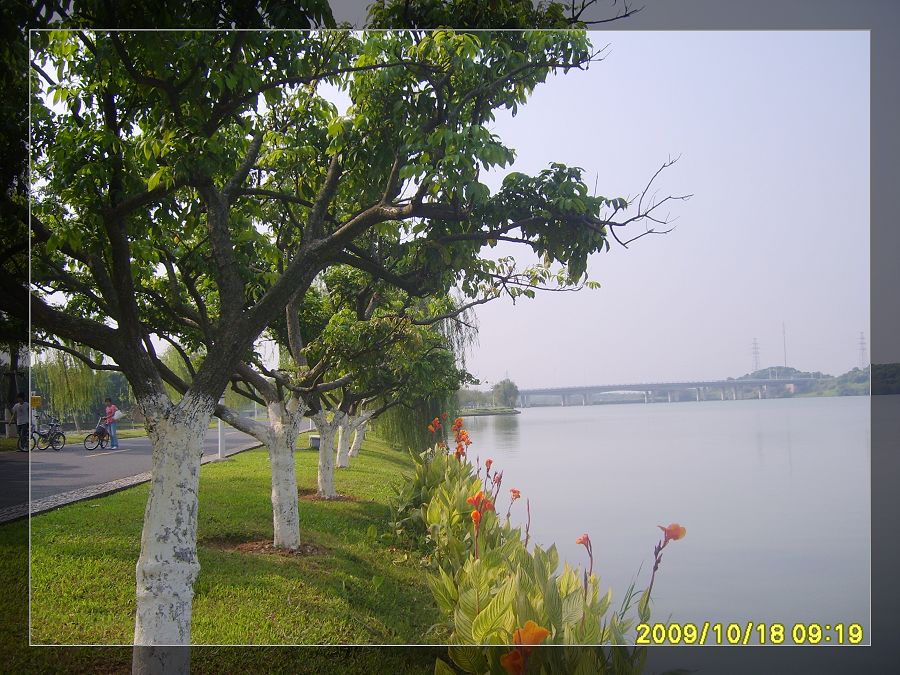 湖景2.jpg