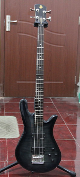 Spector 国产