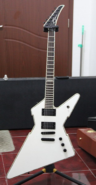 Peavey rotor