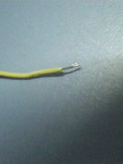 IMG1088A.jpg