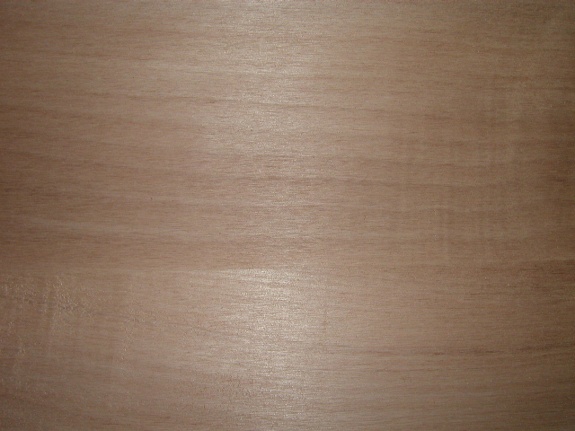 PB150055.JPG