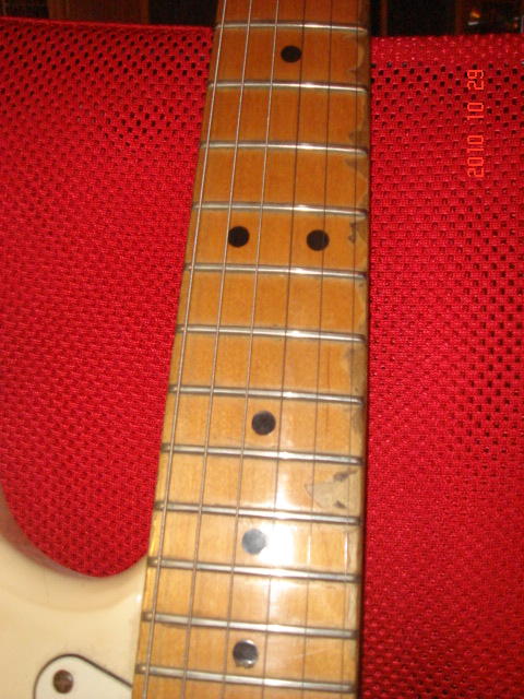 DSC08084.JPG