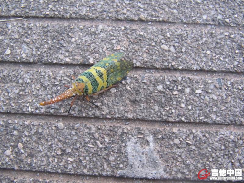 调整大小 IMG_0774.JPG