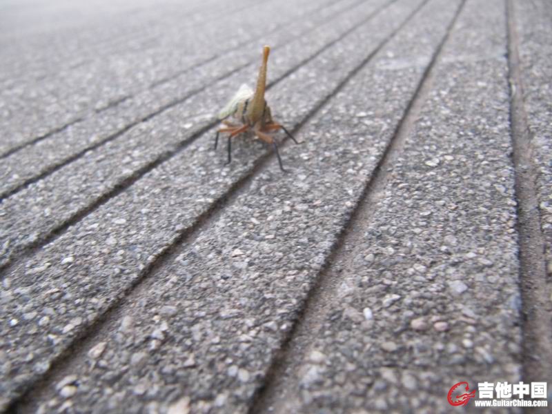 调整大小 IMG_0776.JPG