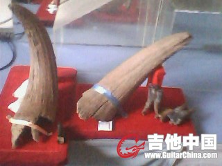 IMG1118A.jpg