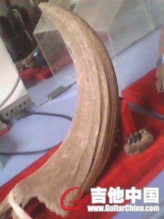 IMG1112A.jpg