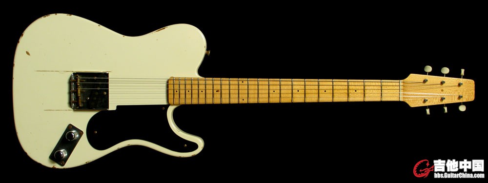 Fender_Custom_Shop_Limited_Snake_Head_Telecaster_SH49_a.jpg