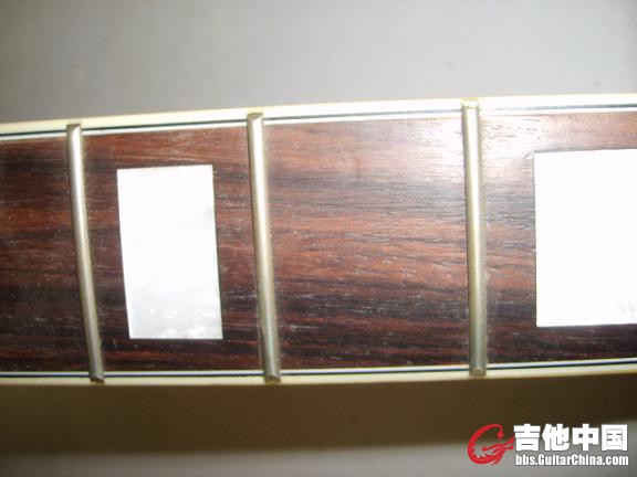 S6003403.JPG