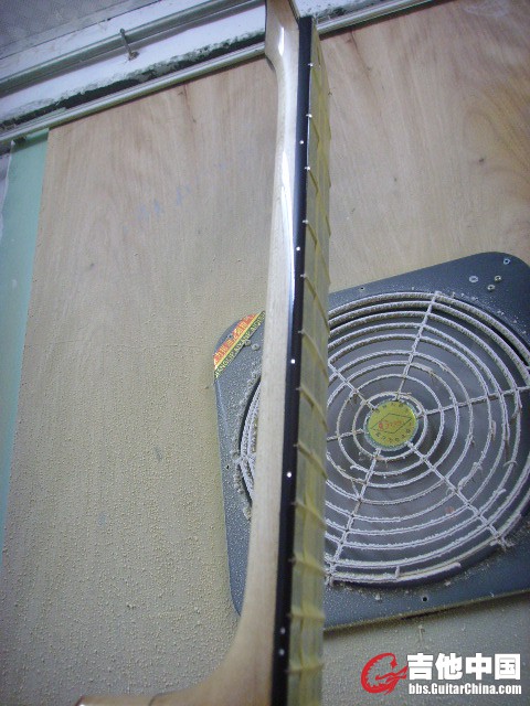 SSL29299.JPG