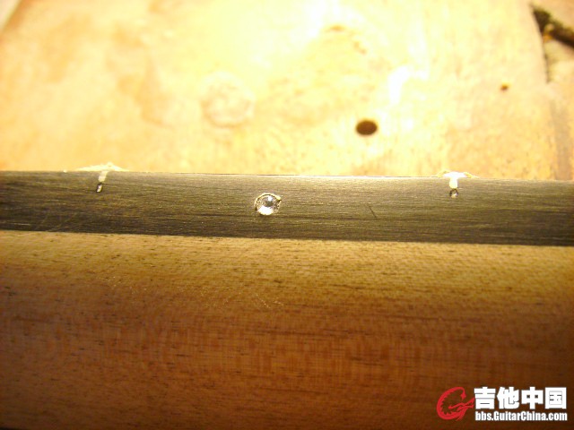 SSL29295.JPG