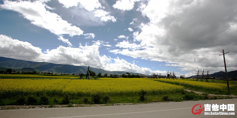 IMG_7385_调整大小.JPG
